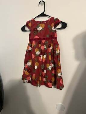 Baby Gap Toddler Girls Floral Dress with Maroon 3T